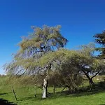 In In Der Eifel Nyaraló