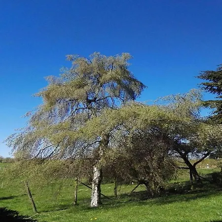 Forest Haven In Casa de Férias
