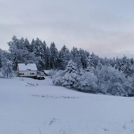 In In Der Eifel بيت للعطل