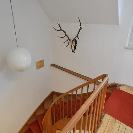 Forest Haven In Filz