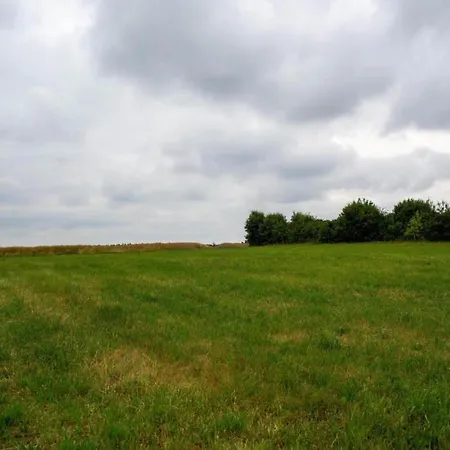 In In Der Eifel *