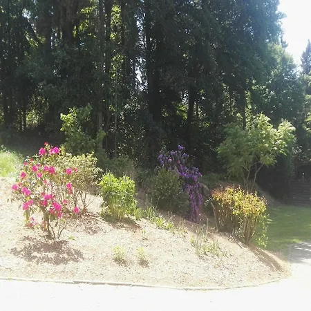 別荘 Forest Haven In