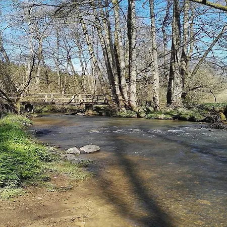 Forest Haven In Casa de Férias *