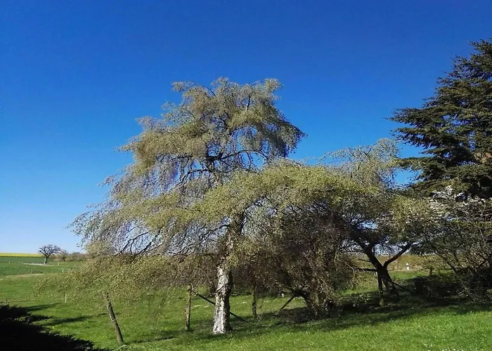 Forest Haven In Casa vacanze