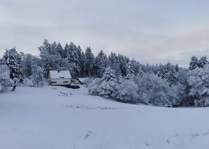 Forest Haven In Casa vacanze