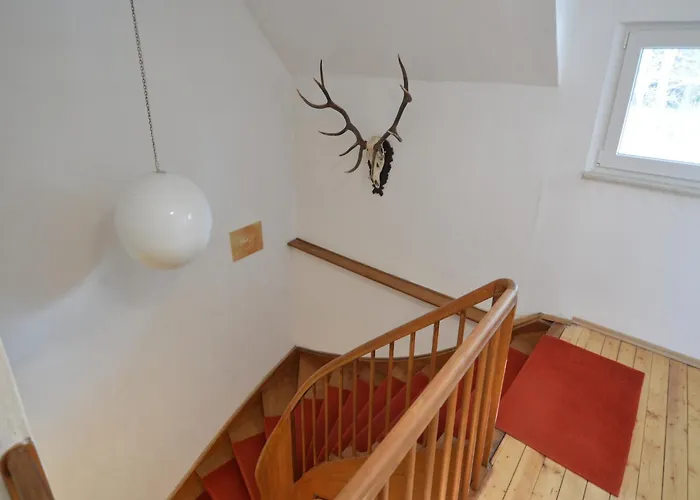 Forest Haven In Filz