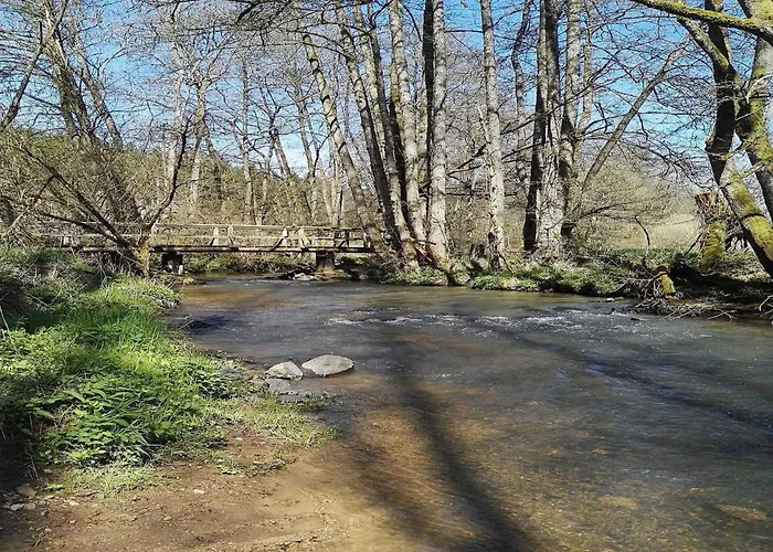 Forest Haven In Casa vacanze *